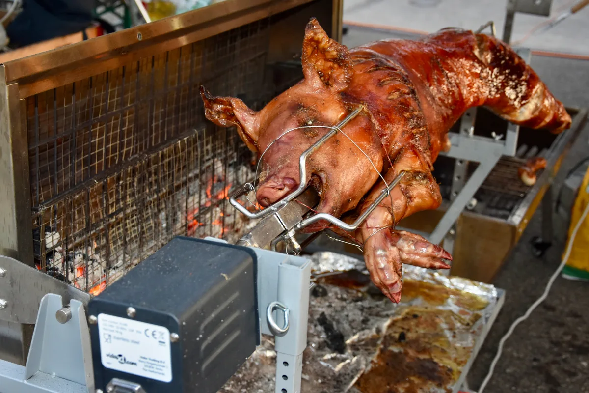 Ein Ferkel am Spiess.