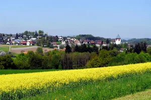 21719747-1 Der neue Foxtrail führt über Ober-Illnau (Blick vom Horn).