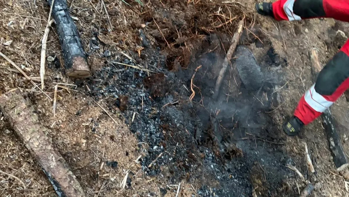 Die Feuerwehr konnte im Rütiwald Schlimmeres verhindern.