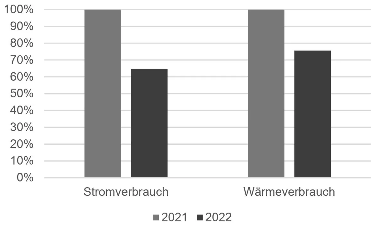 Grafik Energiesparmassnahmen Maur