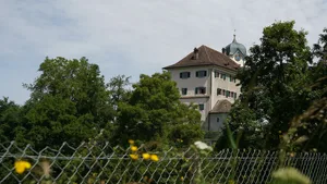 24614549-1 Archiv
