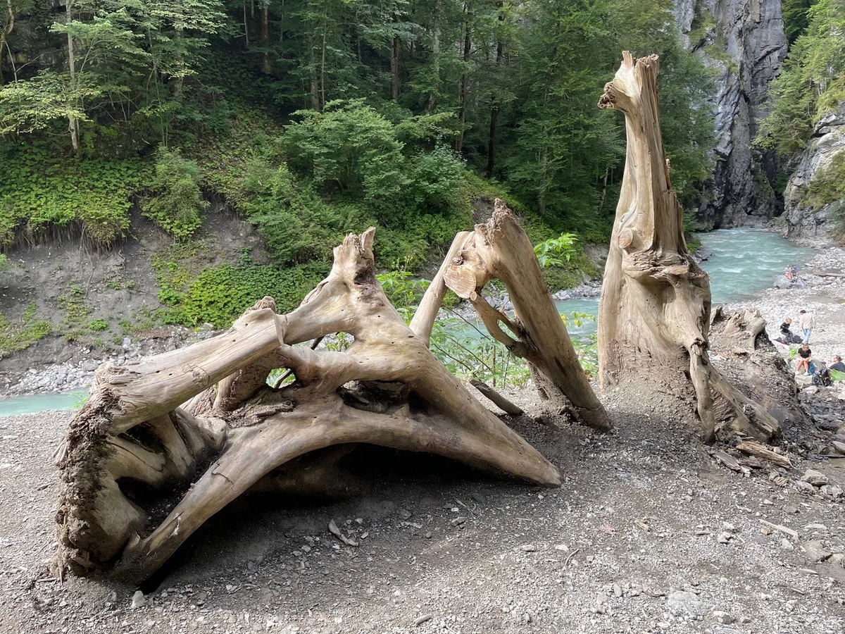Dafür hat er diese drei Hölzer aus der Partnachklamm bei Garmisch-Partenkirchen fotografiert.