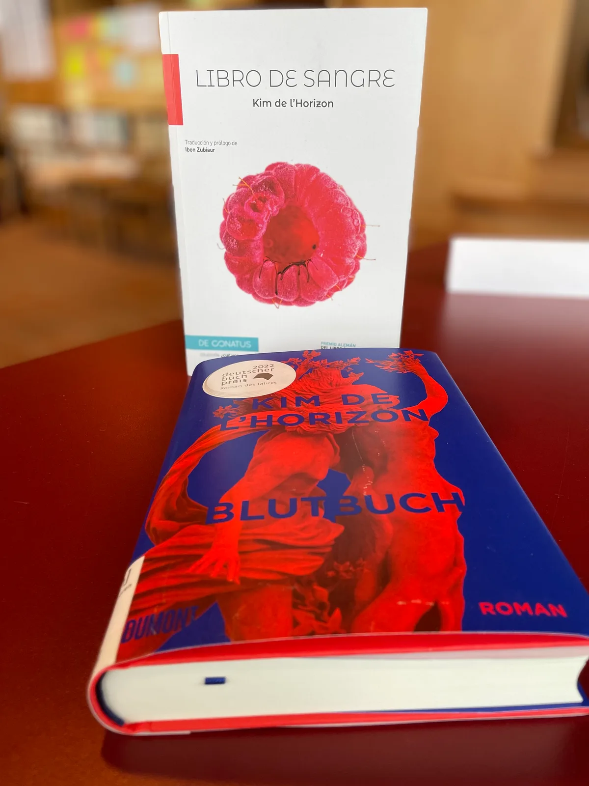 Das Buch von Kim de l’Horizon auf einem Tisch im Übersetzerhaus