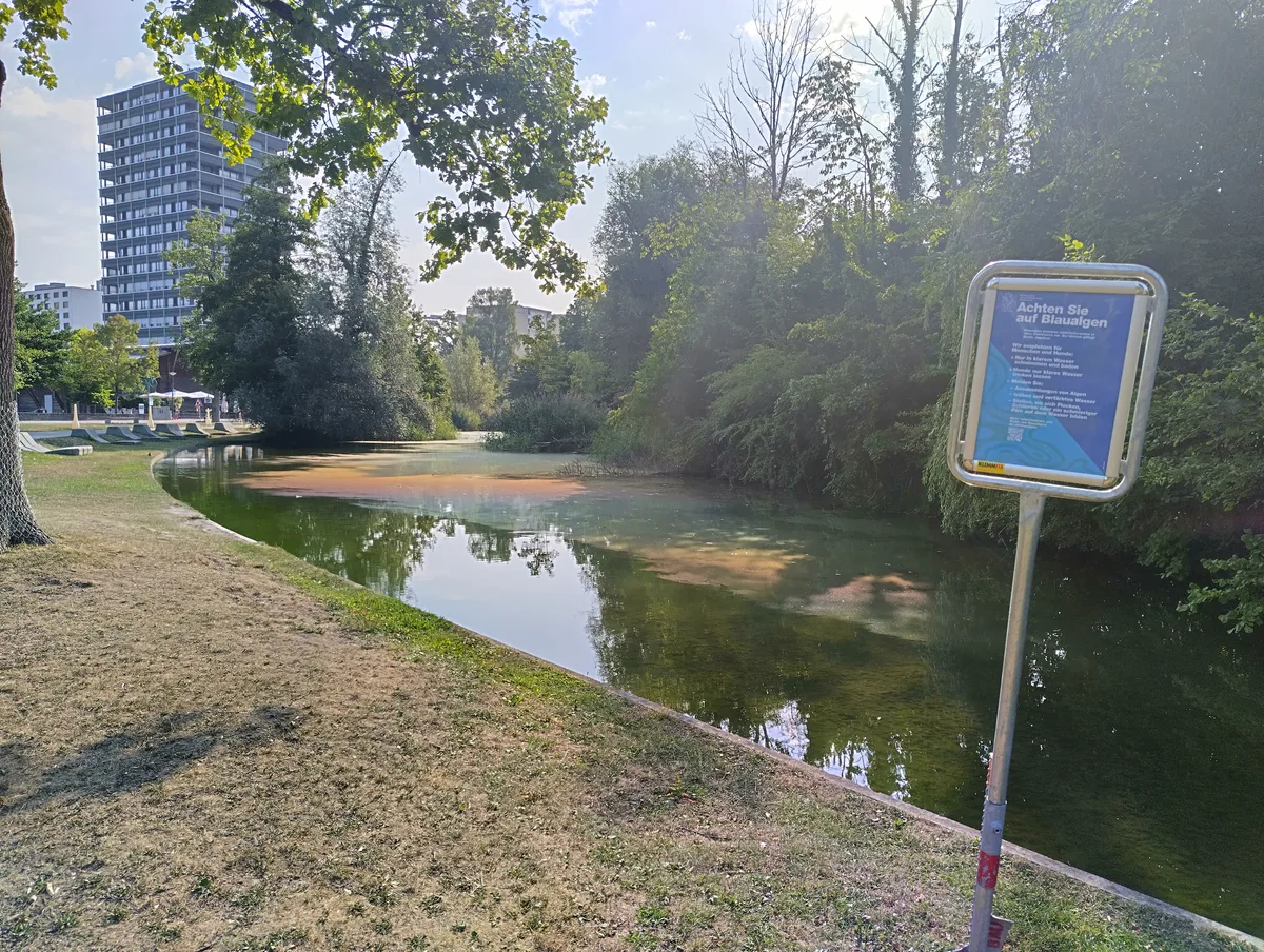 Farbenspiel auf dem Stadtparkweiher: schön, aber gefährlich. 