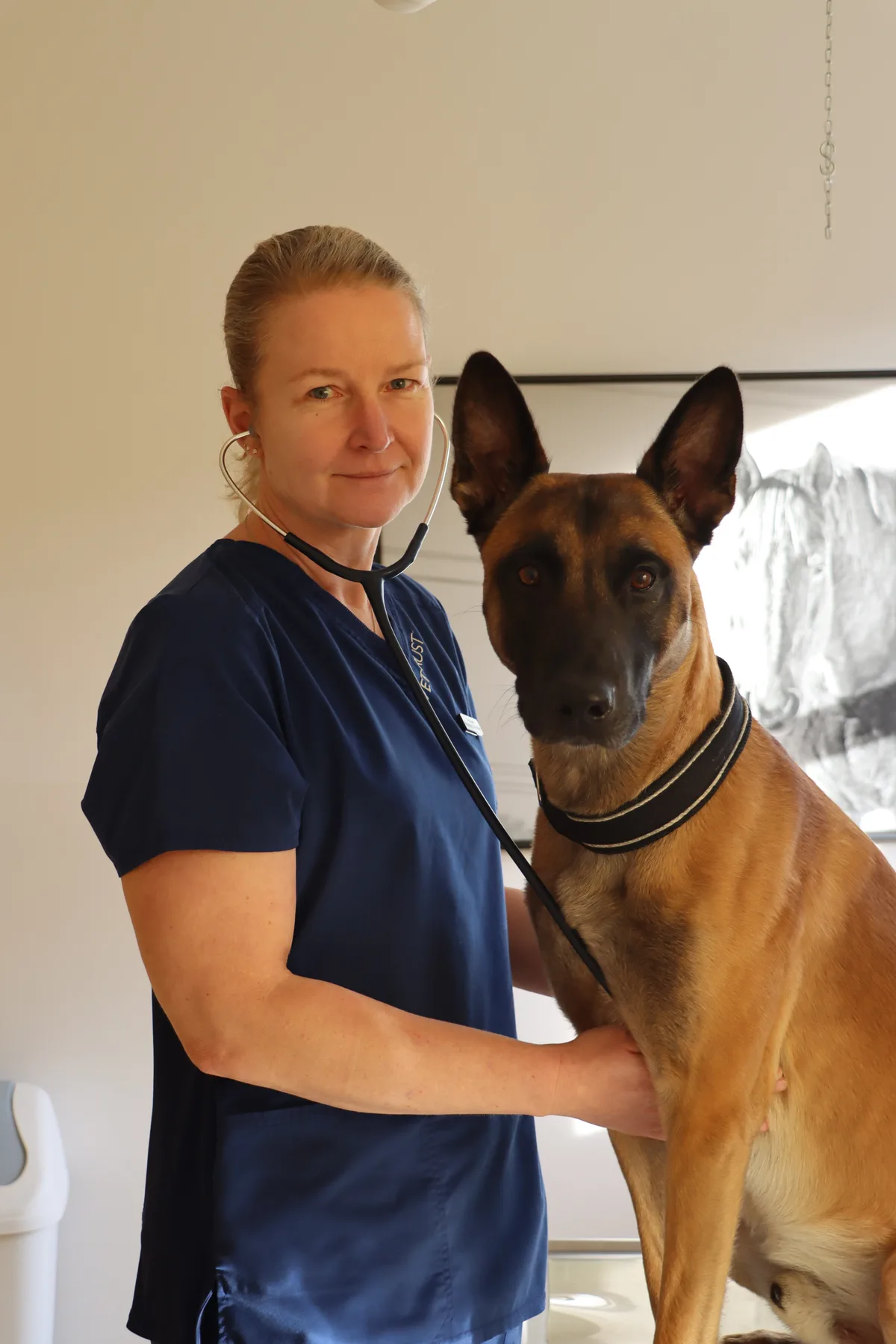 Tierärztin Katja Geser steht neben einem Hund und blickt in die Kamera.