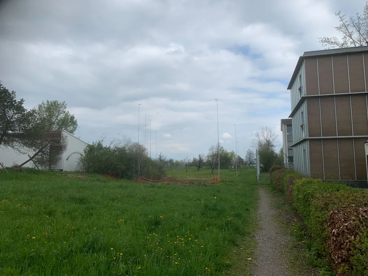 Eine Wiese mit Bauvisieren