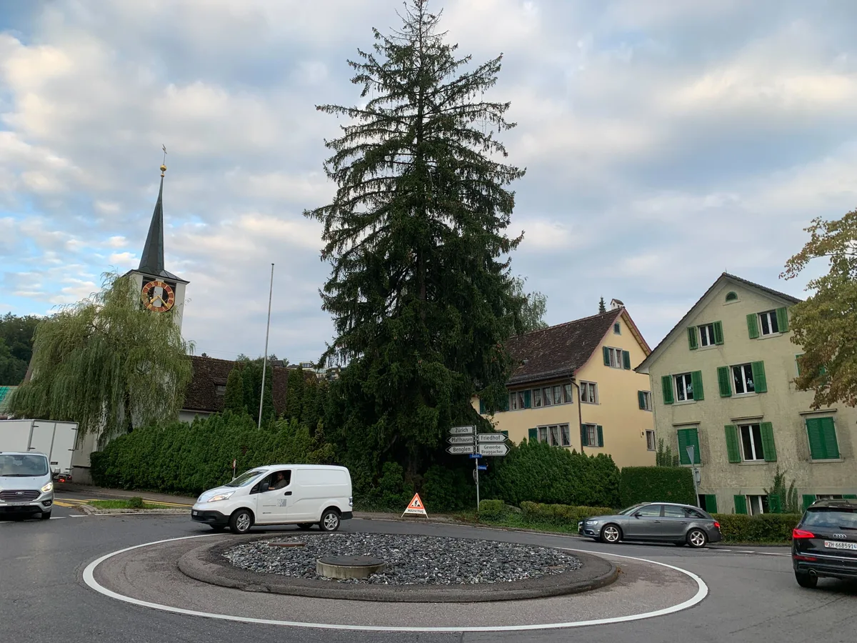 Ein Verkehrskreisel mit einem Baum und einem Kran im Hintergrund.