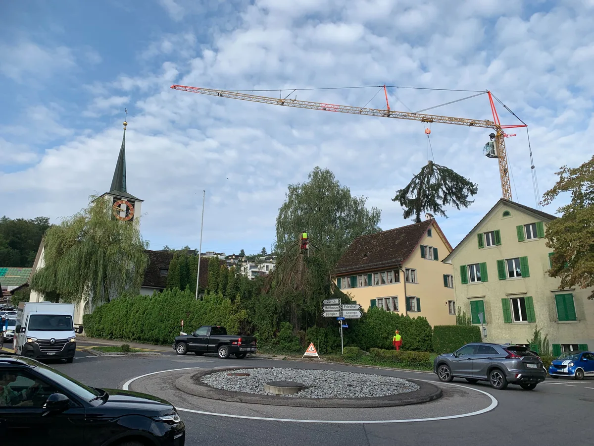 Ein Verkehrskreisel mit einem Baum und einem Kran im Hintergrund.