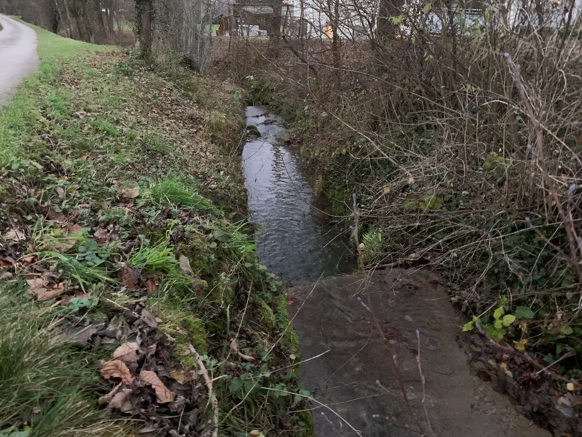 13371886-1 Der Zilbach soll renaturiert und in Sachen Hochwasserschutz flott gemacht werden.