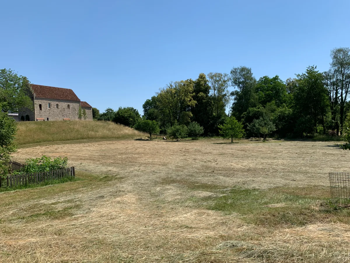 Auf dem Gebiet im Gfenn zwischen der Lazariterkirche und dem kleinen Waldstück befindet sich die Chlosterwis.