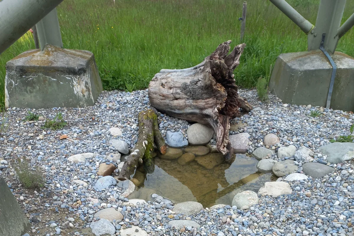 Der Verein Jugendnaturschutz Rüti setzt sich für den Naturschutz vor der Haustür ein.