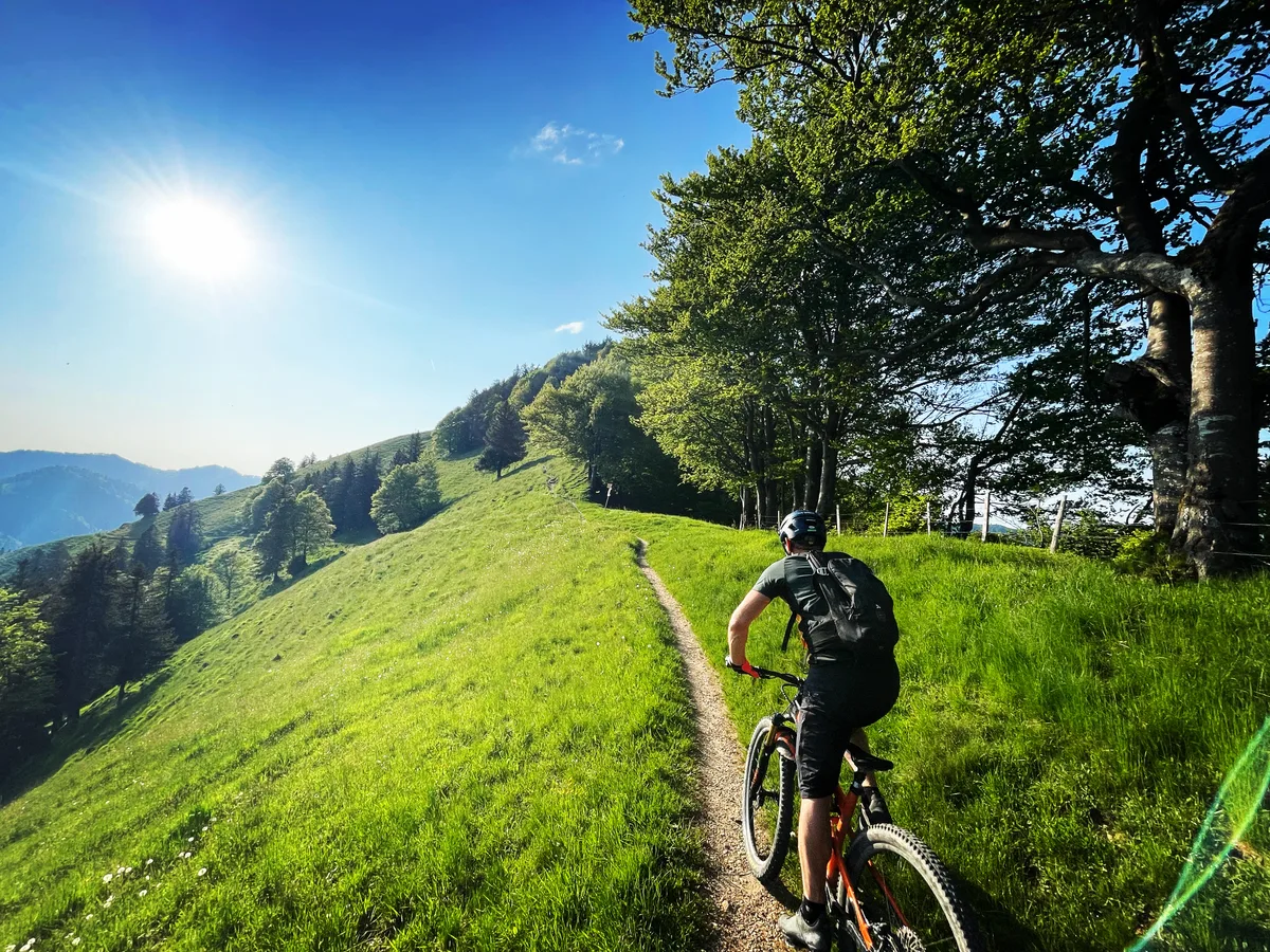 Biketrail
