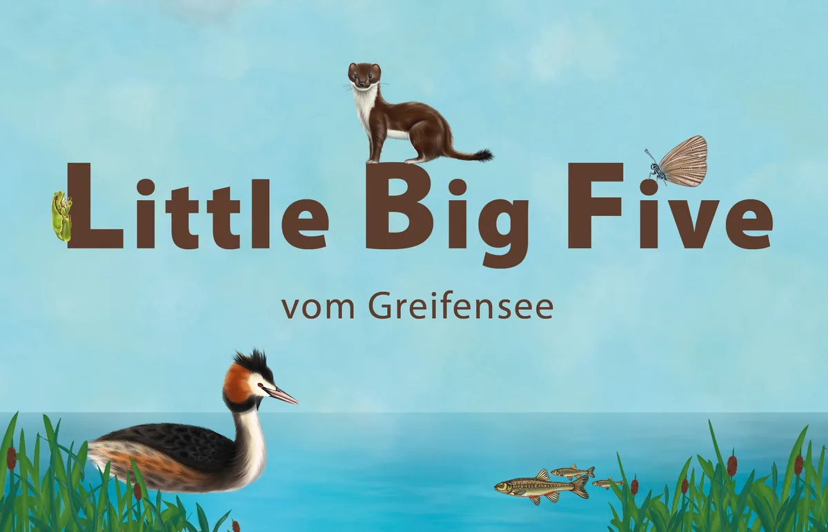 Für die Kampagne hat die Stiftung eigens ein Bild kreiert. Eine Grafik mit Tieren und See.