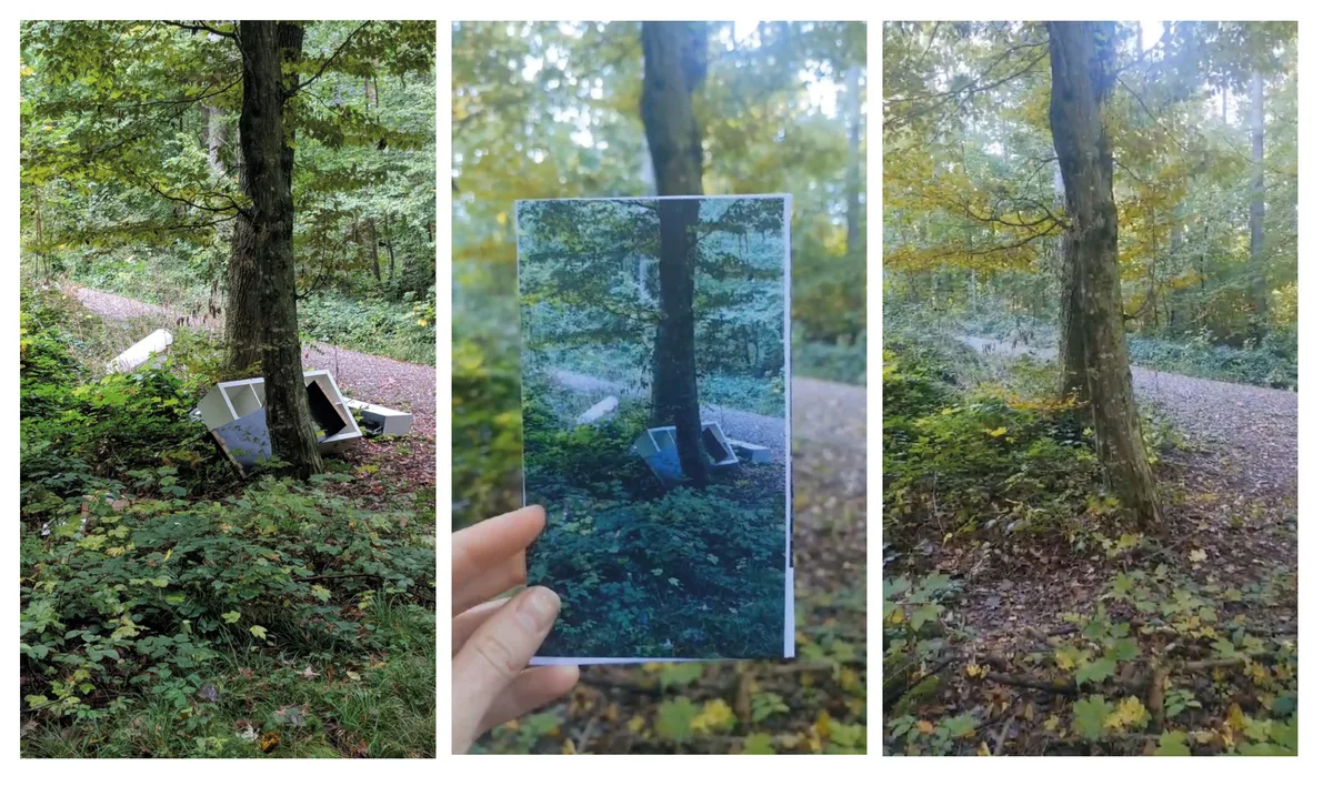 Drei Fotos im Wald.
