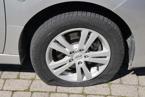 29491685-4 .