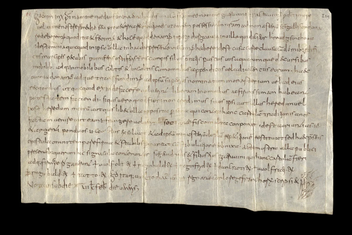 Waldo hat die Dokumente in einer karolingischen Minuskelschrift geschrieben. Das Lesen braucht Übung. Man sieht ein altes Dokument in lateinischer Sprache.
