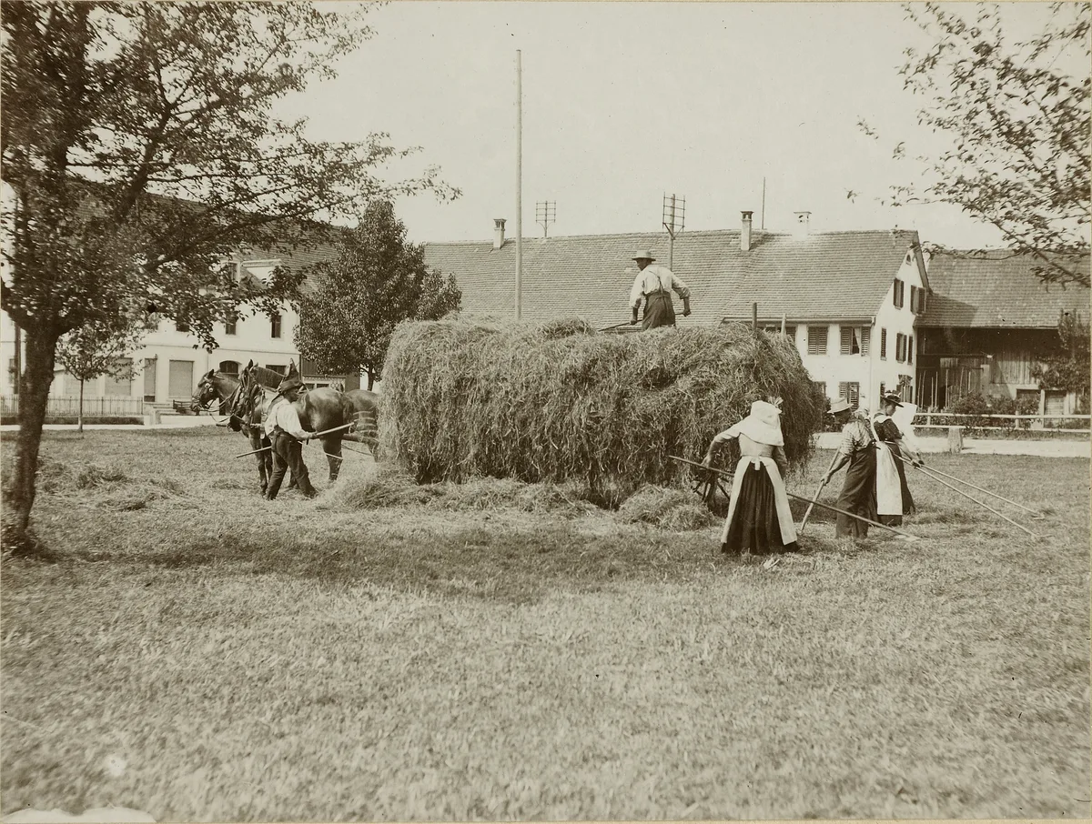 Bauern beim Heuen an der Zürichstrasse 1900 in Uster
