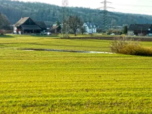 11921772-2 Eine natürliche Senke hinter dem Altersheim Imwil in Dübendorf.