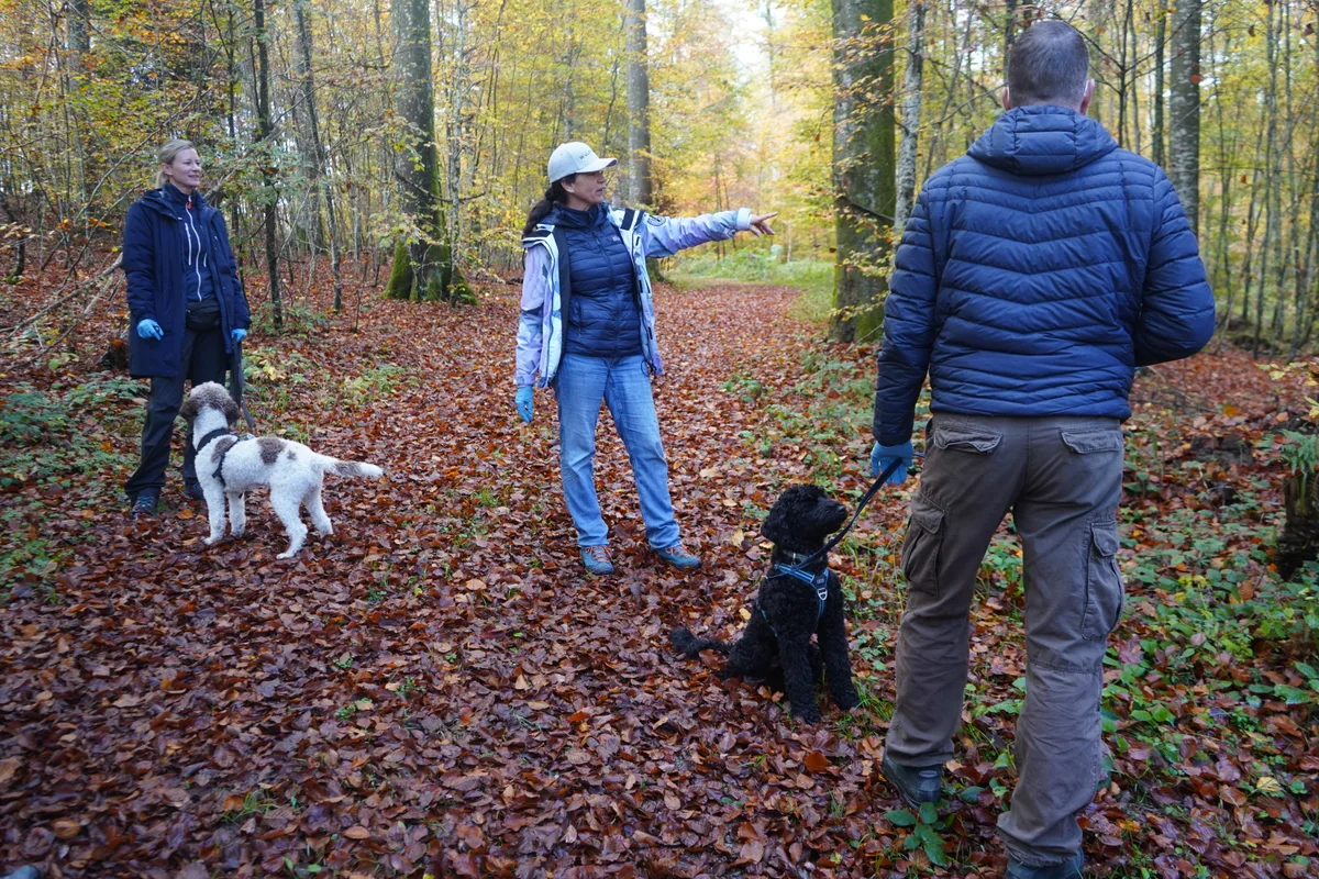 Franziska Rettenhaber bietet einen Trüffelhundekurs an.