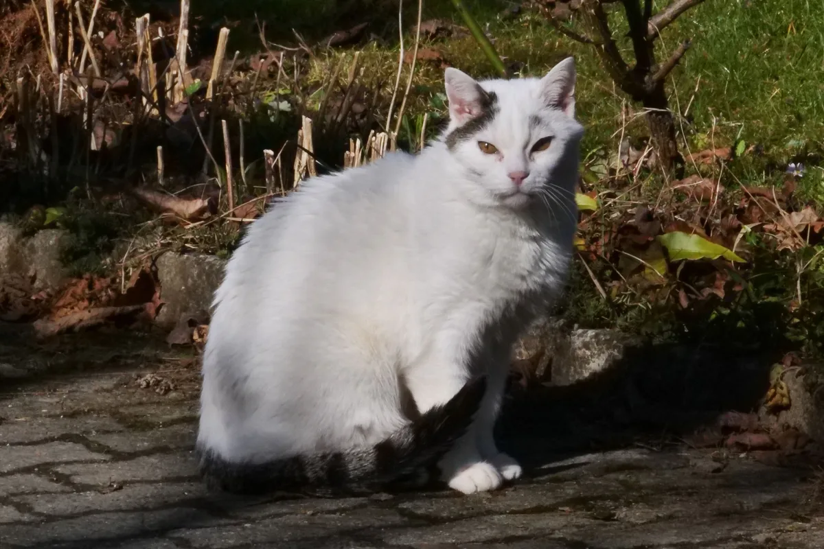 Auch die Vierbeiner freuen sich über die angenehmen Temperaturen. Impressionen im Februar 2026