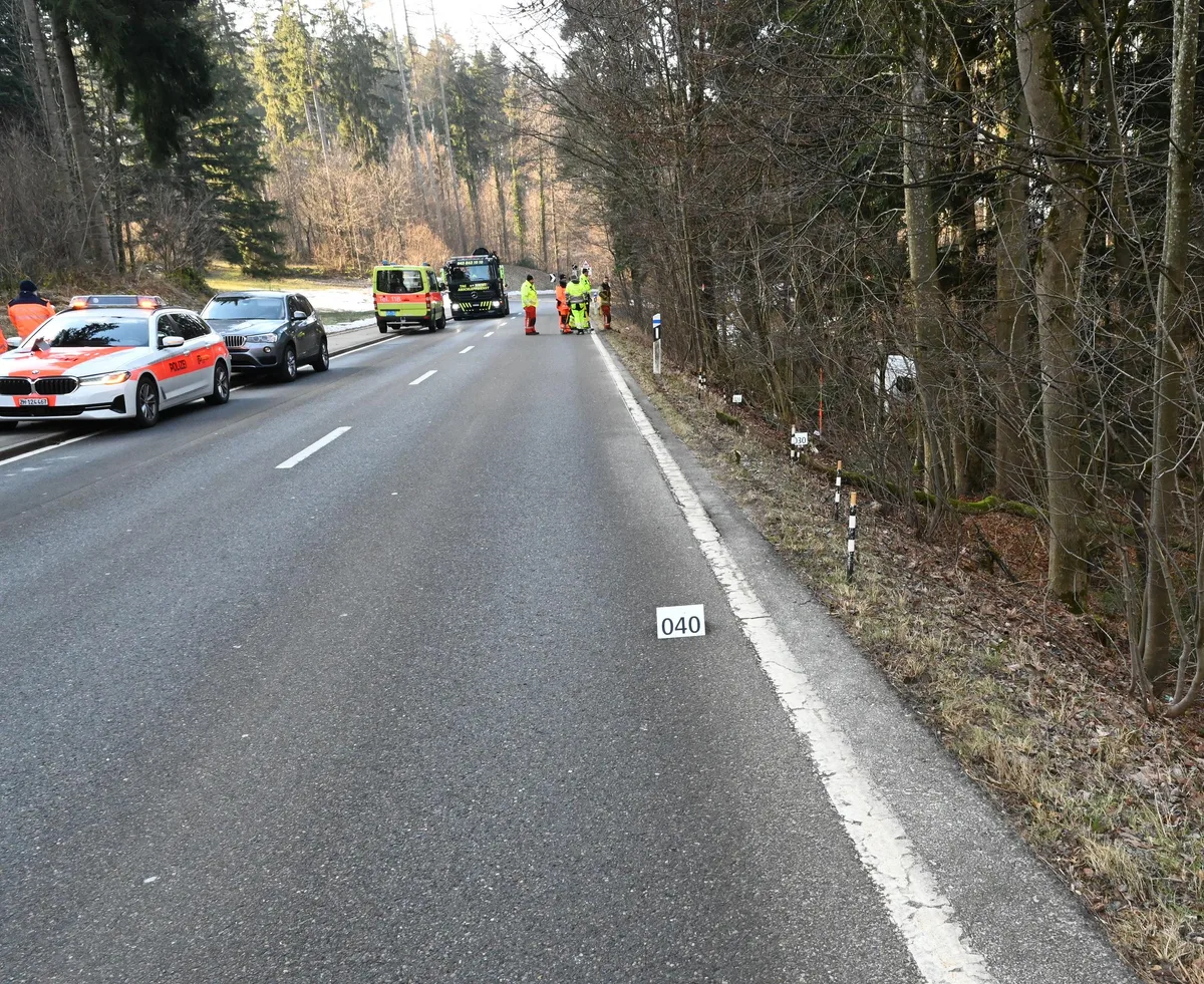 Auf der Tösstalstrasse in Wetzikon endete die Fahrt des Lieferwagens im Wald. Die Polizei ermittelt die Ursache. Auf der Tösstalstrasse in Wetzikon endete die Fahrt des Lieferwagens im Wald. Die Polizei ermittelt die Ursache.