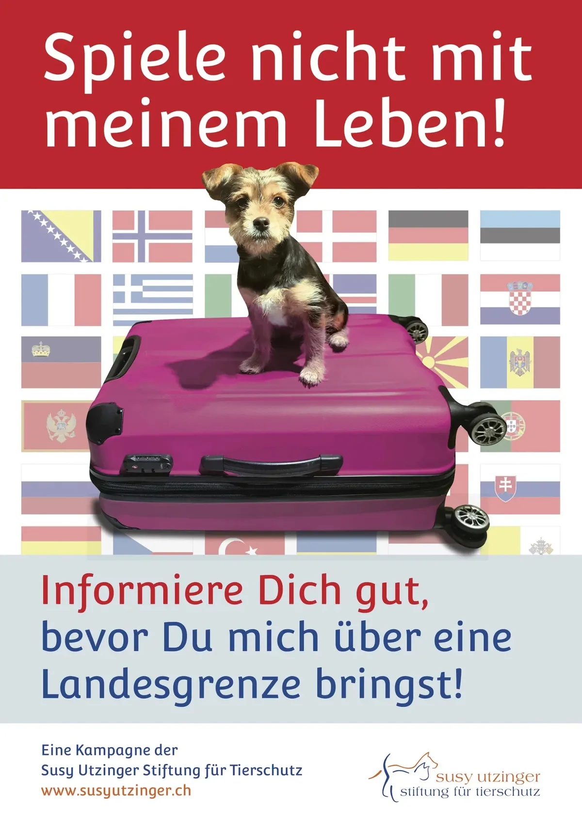 Die Susy-Utzinger-Stiftung für Tierschutz sensibilisiert für die Konsequenzen eines unbedachten Tierimports Werbung für die Susy-Utzinger-Stiftung für Tierschutz.