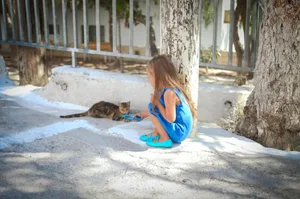 Herzig ist es ja, das Büsi, das sich Tag für Tag beim Ferienhotel herumtreibt. Trotzdem ist es keine gute Idee, die Katze kurzerhand mit nach Hause nehmen zu wollen. Herzig ist es ja, das Büsi, das sich Tag für Tag beim Ferienhotel herumtreibt. Trotzdem ist es keine gute Idee, die Katze kurzerhand mit nach Hause nehmen zu wollen.