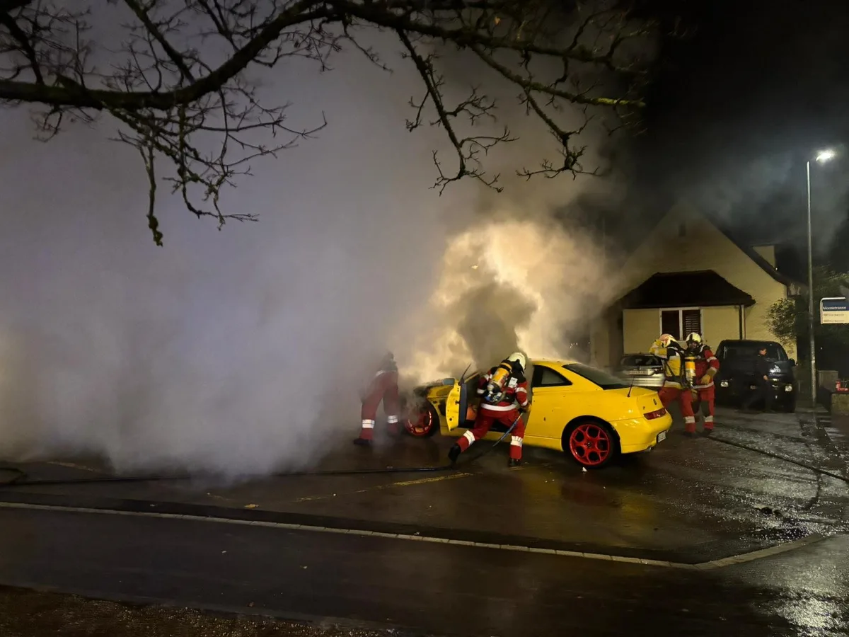 Die Einsatzkräfte bekämpften das Feuer erfolgreich. Man sieht einen brennenden Wagen.
