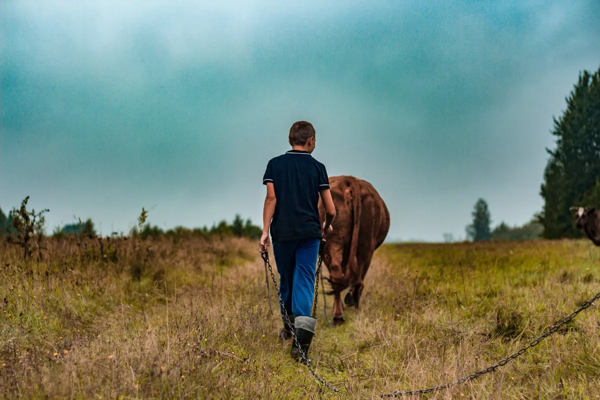 29341610-2 Landwirte arbeiten im Schnitt mehr als 80 Stunden pro Woche. Bleibt da noch Zeit, nach der geeigneten Partnerin zu suchen? (Symbolbild)