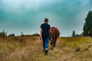 29341610-2 Landwirte arbeiten im Schnitt mehr als 80 Stunden pro Woche. Bleibt da noch Zeit, nach der geeigneten Partnerin zu suchen? (Symbolbild)