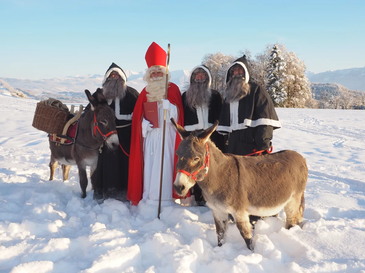 Esel Nero (rechts) wurde bei einem Ausflug mit dem Samichlaus und Schmutzli angefahren.