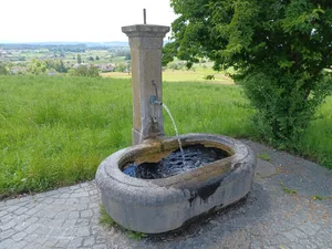 31483291-4 Bei einem Fliessbrunnen tritt das Wasser durch den natürlichen Druck aus dem Boden an die Oberfläche. Er wird auch artesischer Brunnen genannt. Dieser Fliessbrunnen am Rigiblick ist laut Hunziker einer der Brunnen mit der besten Wasserqualität.
