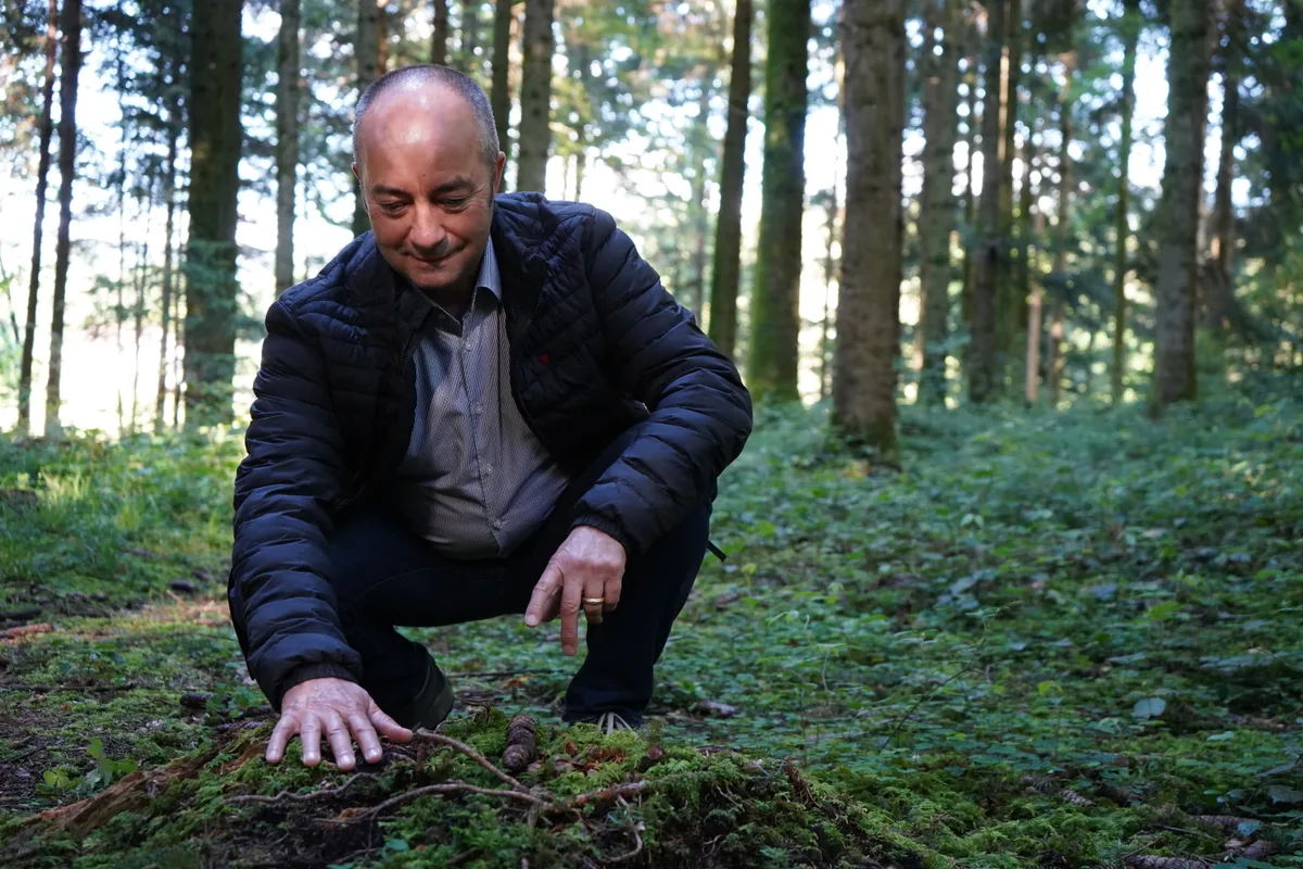 Stephan Weber zeigt eine Stelle im Wald, wo normalerweise Pilze zu finden sind.