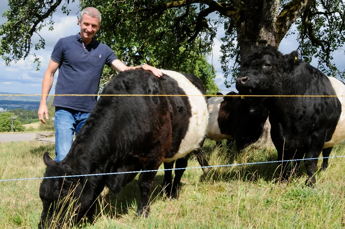 26648908-4 Der Doktor und das liebe Vieh: Felix Zeller mit seinen Galloway-Rindern.