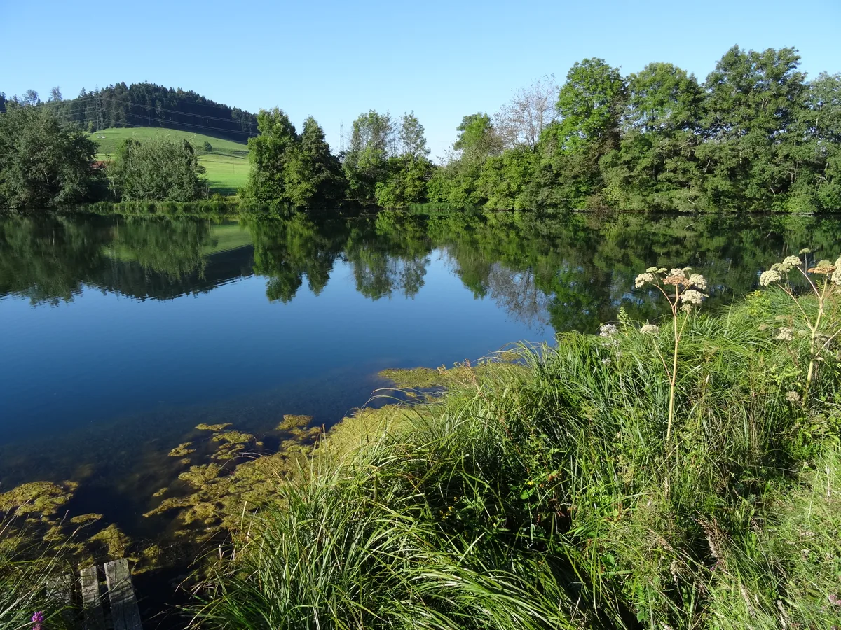 Der Stöckweiher in Bäretswil ist heute ein «Gefängnis» für Steine und Geröll, die eigentlich den Aabach hinunterwandern sollten.