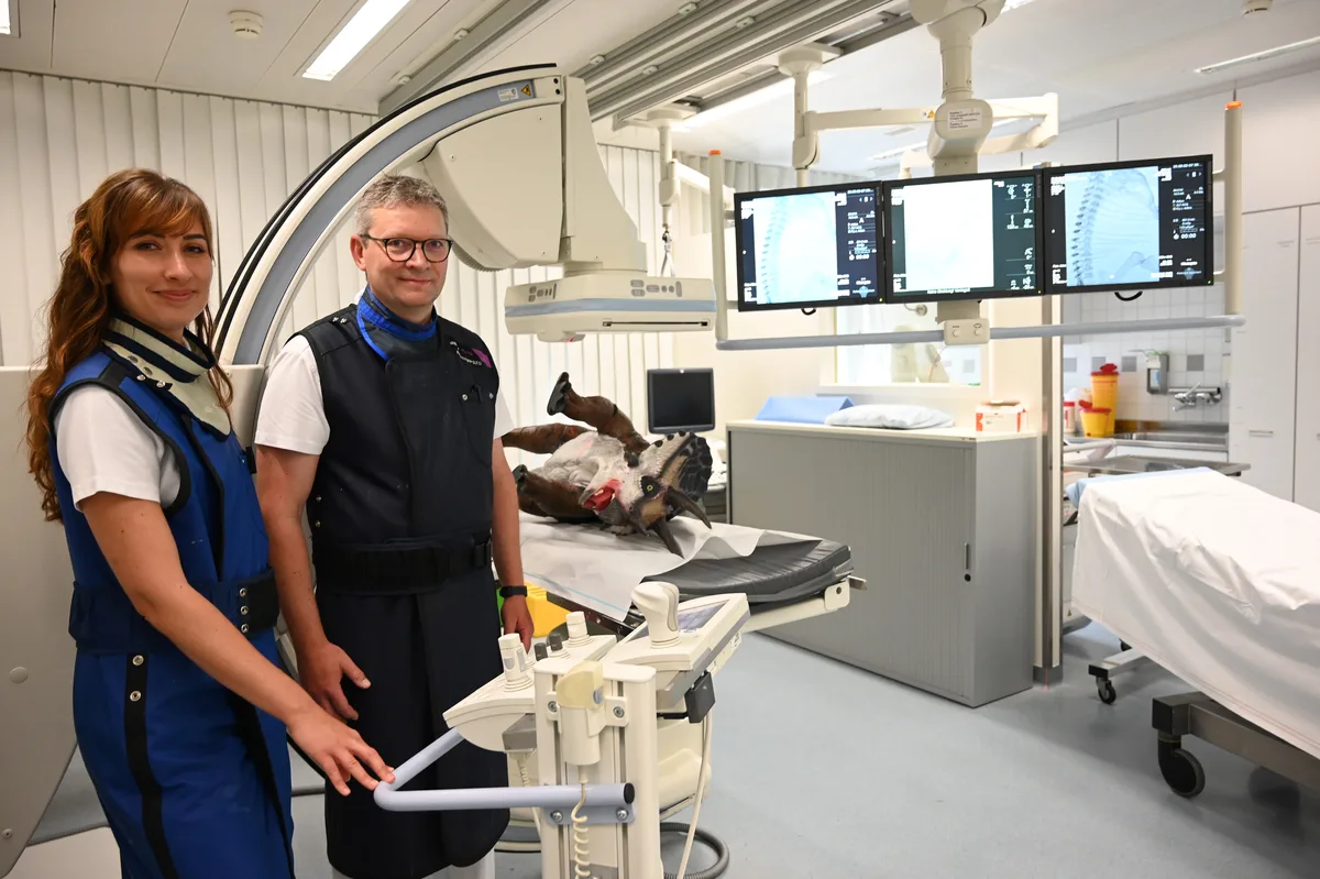 Triceratops-Baby «Little Willy» wird «geröntgt» und «untersucht» von med. prakt. Caroline Maier
und Prof. Dr. Dr. Andreas Boss. Triceratops-Baby «Little Willy» wird «geröntgt» und «untersucht» von med. prakt. Caroline Maier
und Prof. Dr. Dr. Andreas Boss.
