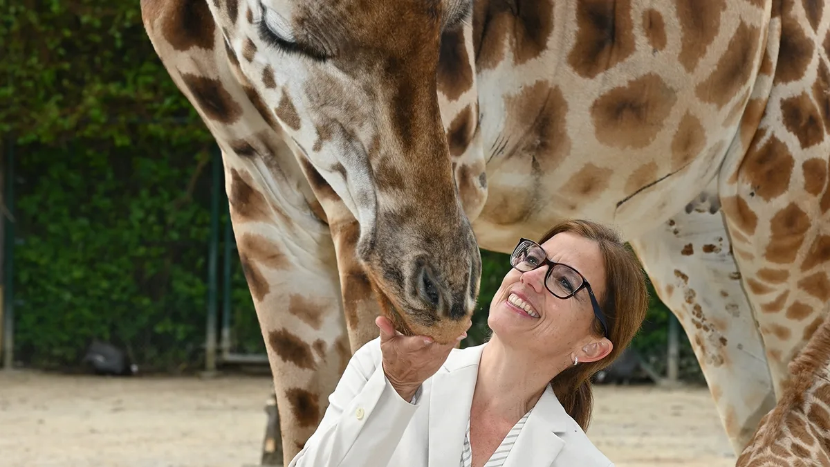 Sibylle Marti ist seit 1. Januar 2024 Direktorin des Knies Kinderzoo. Giraffen mag sie am liebsten.
