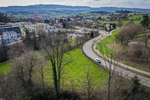 24596889-2 Die Wiese bei der Grütstrasse / Berghofstrasse soll aufgewertet werden.
25.3.2021