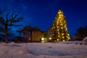 Christbaum der Gemeinde Bubikon steht neu beim Gemeindehaus Christbaum der Gemeinde Bubikon steht neu beim Gemeindehaus