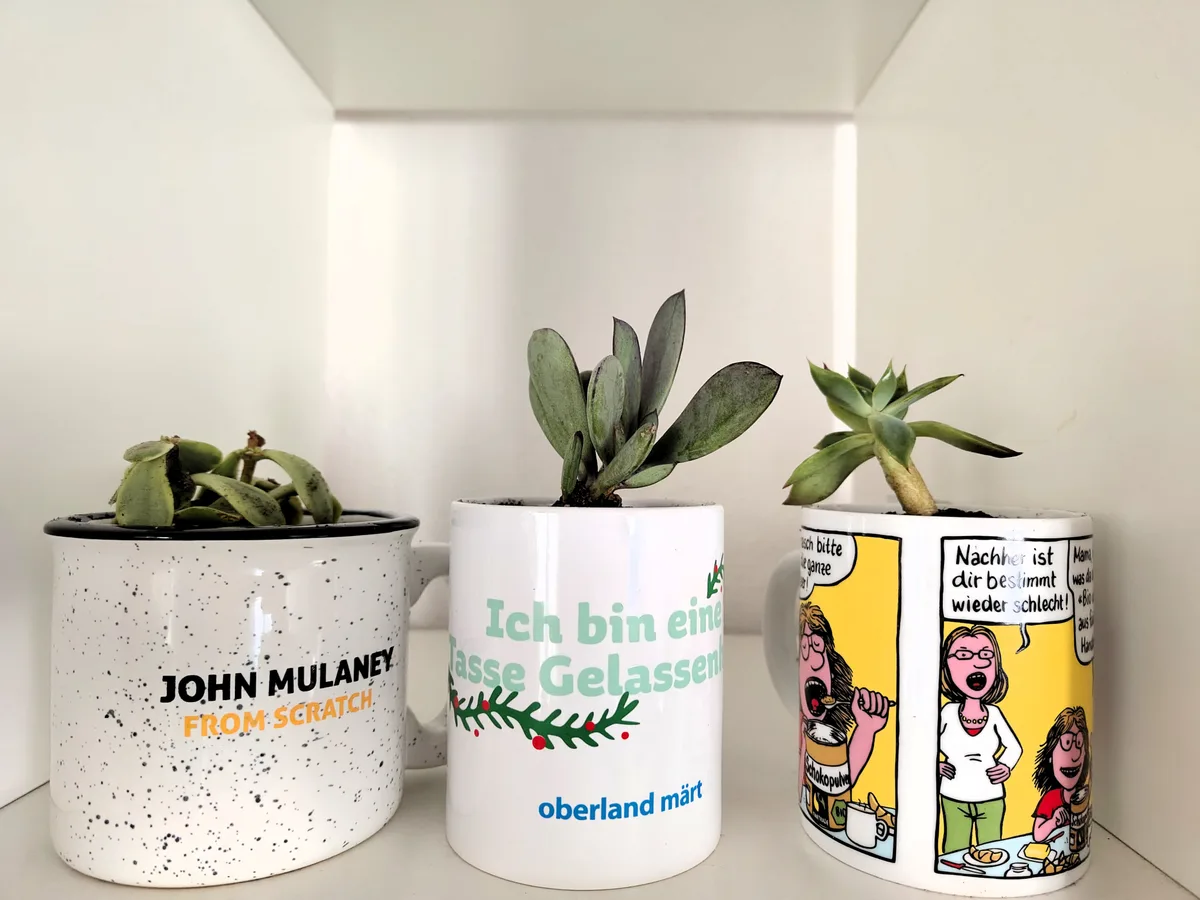 Ihre Tassen verstauben im Schrank? Zeit für eine Upcycling-Idee. Ihre Tassen verstauben im Schrank? Zeit für eine Upcycling-Idee.