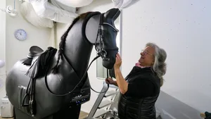 Doris Wetter aus Wetzikon verkauft ihren Reitsimulator. Doris Wetter aus Wetzikon verkauft ihren Reitsimulator.