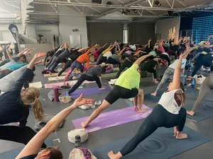 31569819-1 yogatag