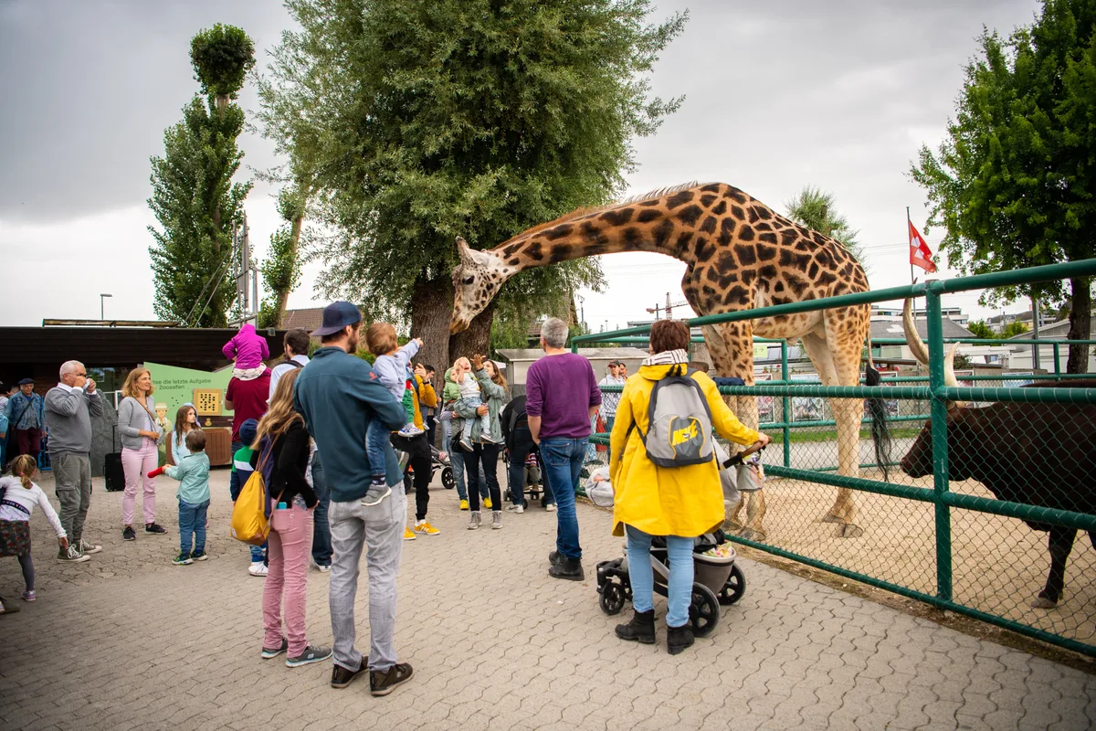 Am 6. Juni 2020 darf Knies Kinderzoo zum ersten Mal nach dem Corona Lockdown wieder öffnen.