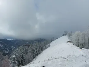 Schnee Tierhag Schnee Tierhag