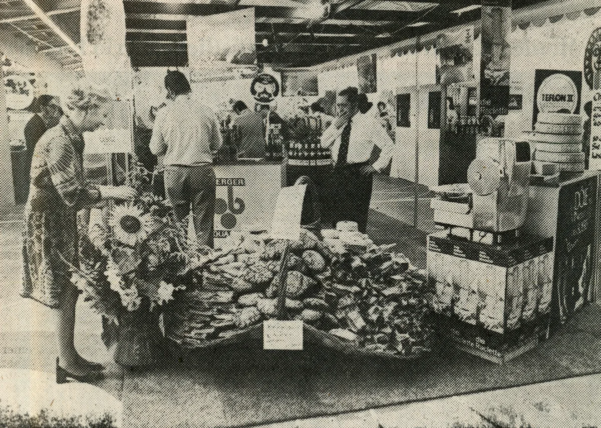 30228877-3 So präsentierte sich ein Wetziker Comestibles-Laden im Jahr 1973 an der ZOM.