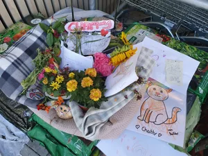 27288876-5 grosse Anteilnahme am Tod von Coop-Büsi Chatty