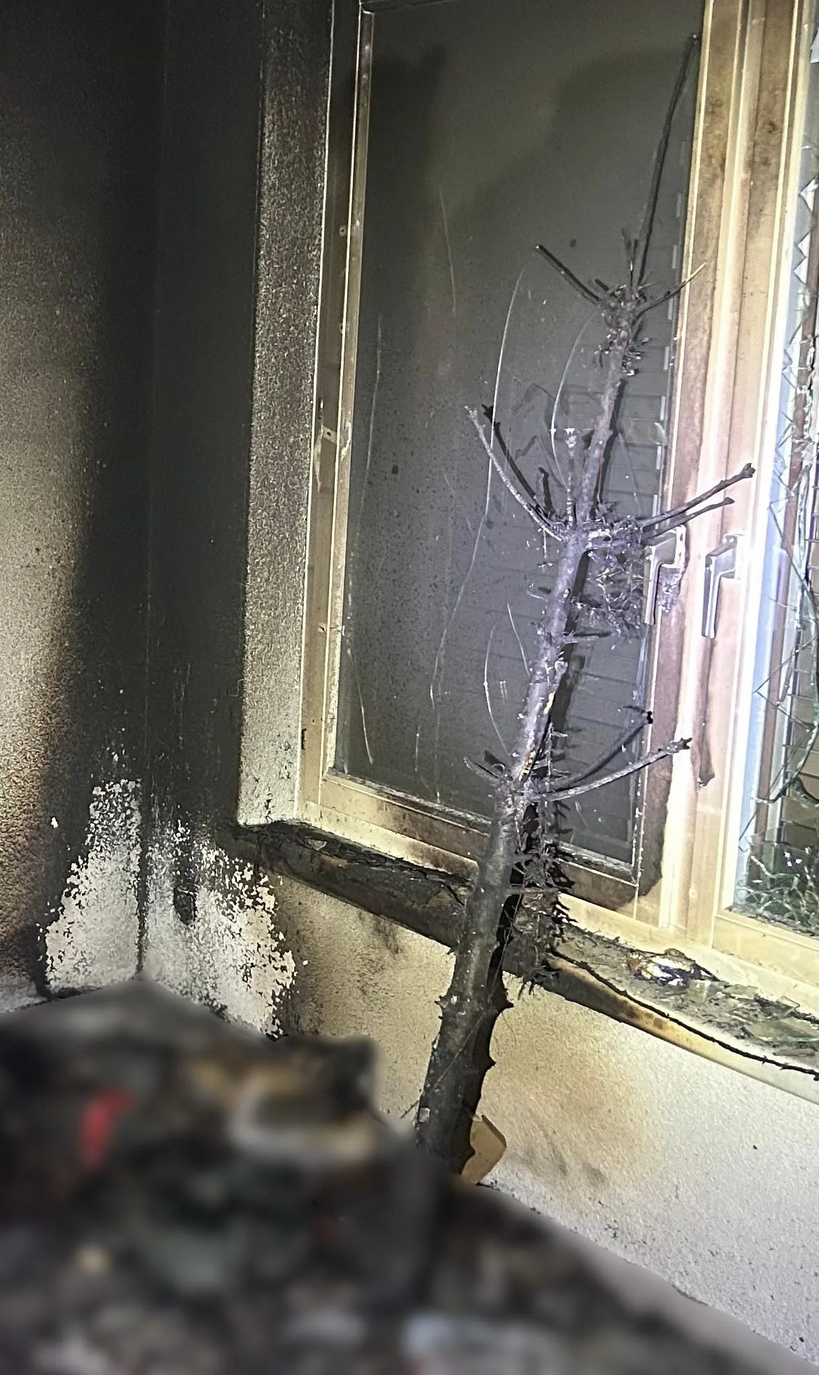 Die Feuerwehr musste im Grüt einen Christbaumbrand löschen. Die Feuerwehr musste im Grüt einen Christbaumbrand löschen.