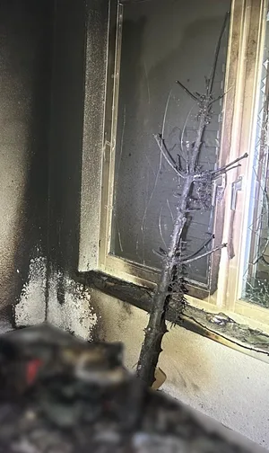 Die Feuerwehr musste im Grüt einen Christbaumbrand löschen. Die Feuerwehr musste im Grüt einen Christbaumbrand löschen.