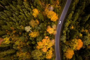 Die Strasse zwischen Grüt und Bertschikon strahlt in grün und gelb. Die Strasse zwischen Grüt und Bertschikon strahlt in grün und gelb.