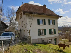 Das Haus Horn in Illnau Effretikon soll verkauft werden. Das Haus Horn in Illnau Effretikon soll verkauft werden.